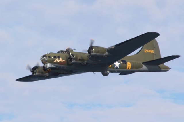  - Warbird