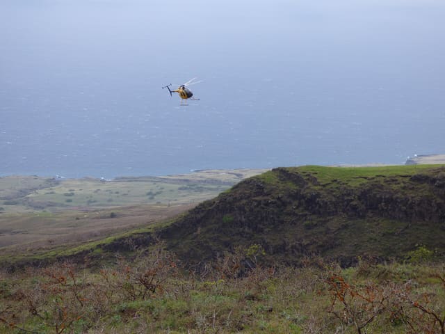 N809WA - Helicopter