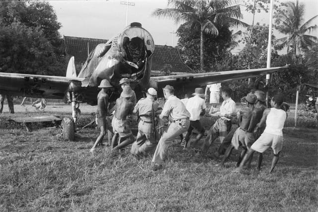  - Warbird
