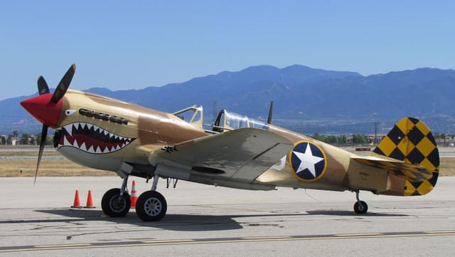  - Warbird