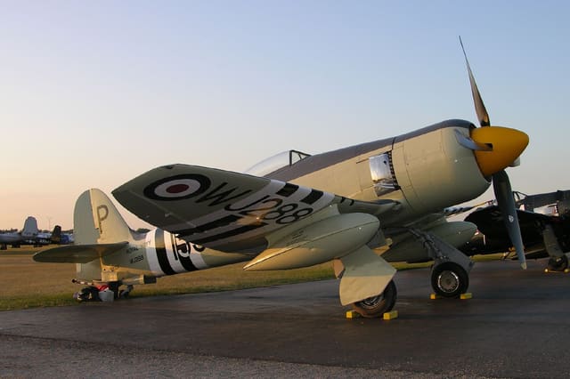  - Warbird