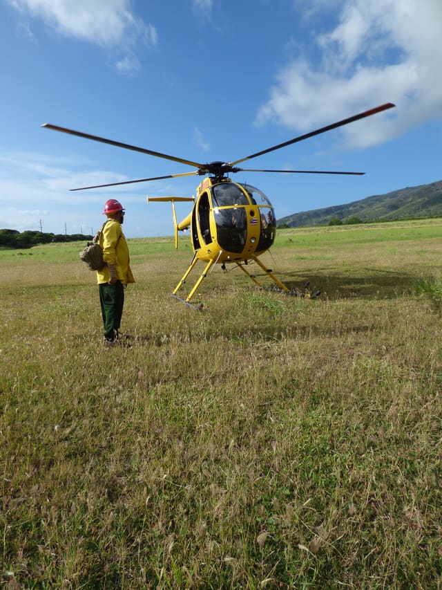N809WA - Helicopter
