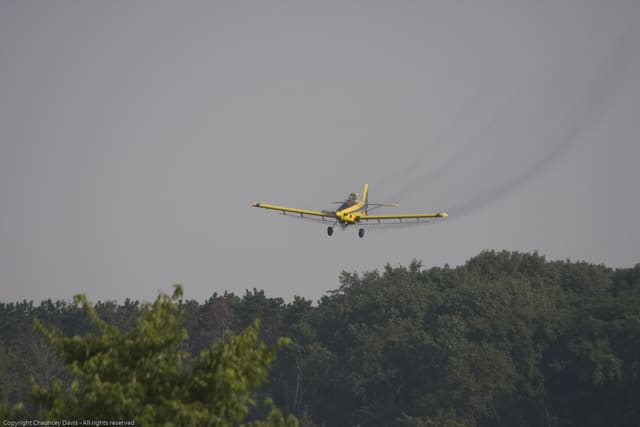 N1531G - Single-engine aircraft