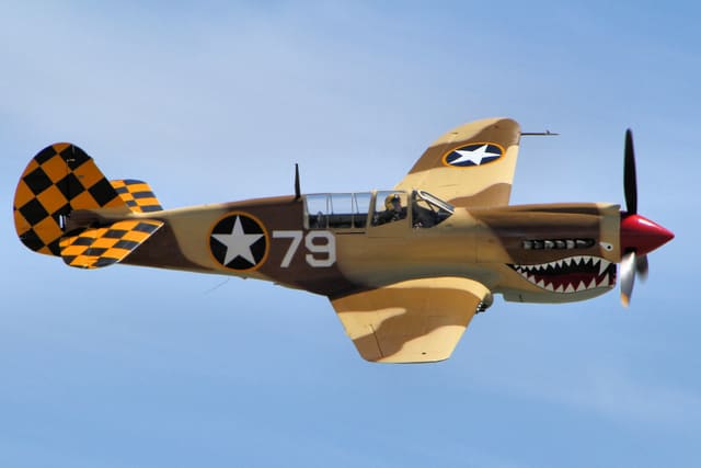  - Warbird