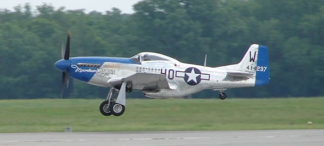  - Warbird