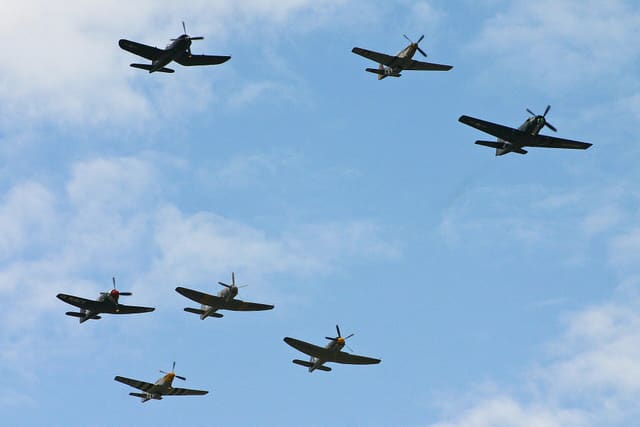  - Warbird