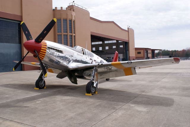  - Warbird