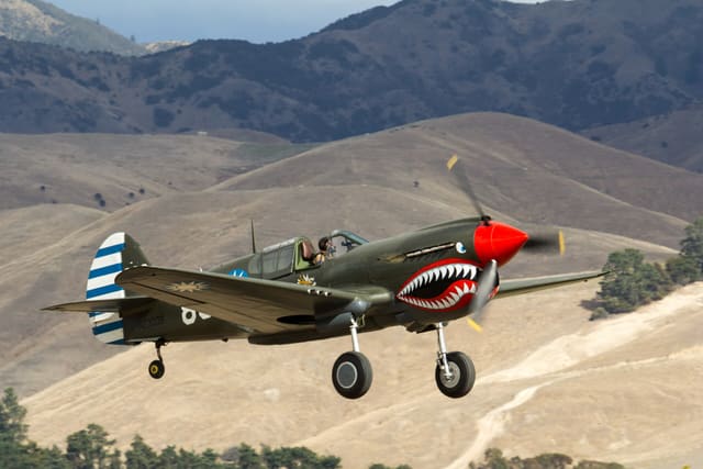  - Warbird