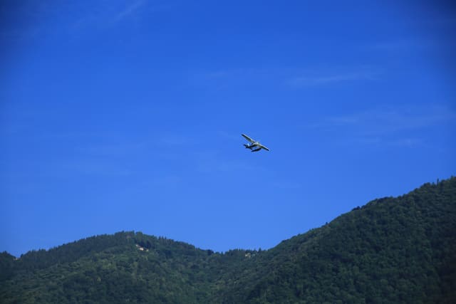N206BJ - Single-engine aircraft