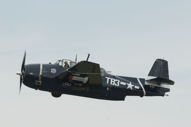 N81865 - Single-engine aircraft