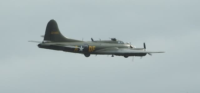  - Warbird