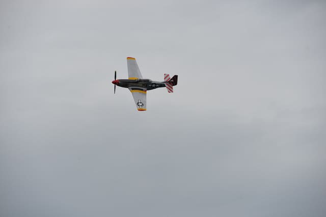  — Warbird