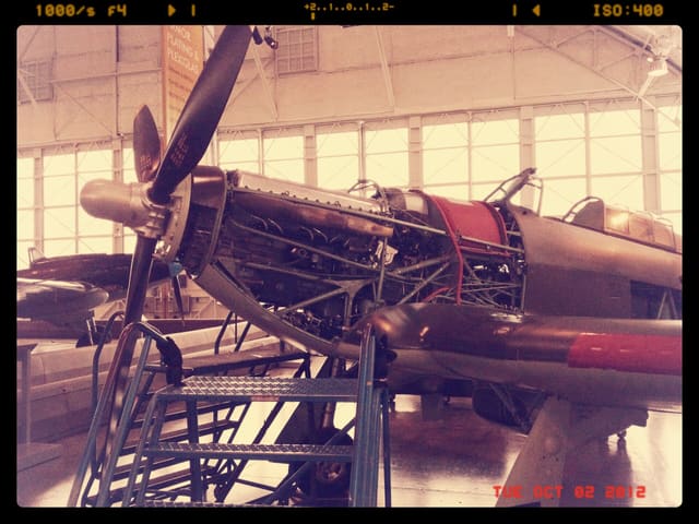  - Warbird