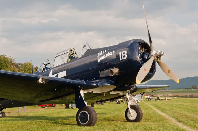 N6593D - Single-engine aircraft