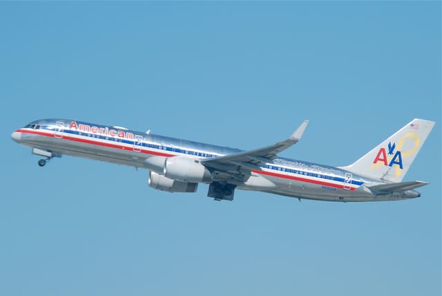N690AA - Twin-engine aircraft