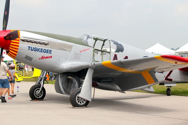  - Warbird