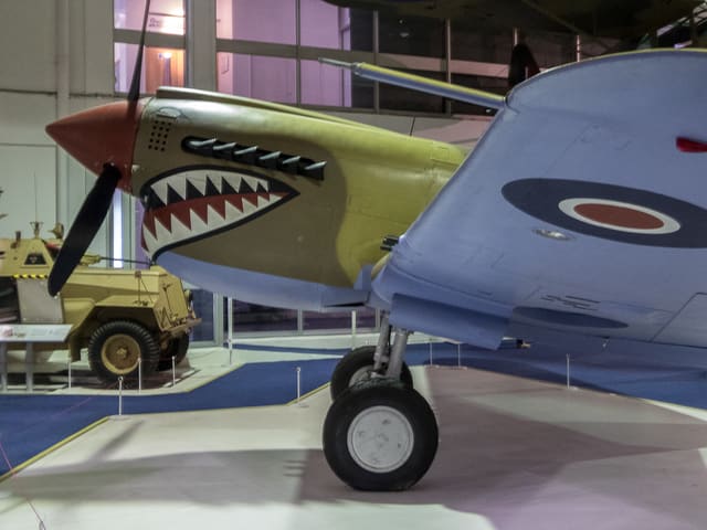  - Warbird