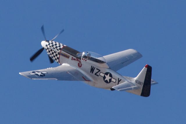  - Warbird