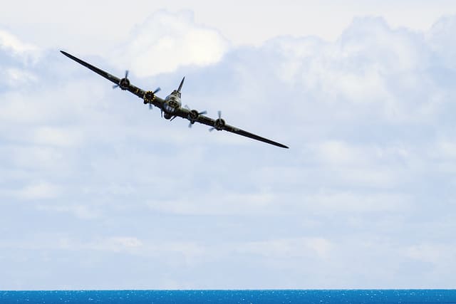  - Warbird