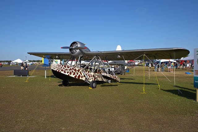  - Single-engine aircraft