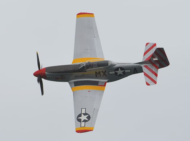  — Warbird