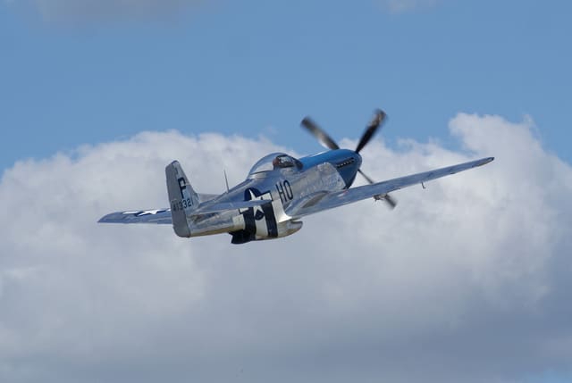  - Warbird