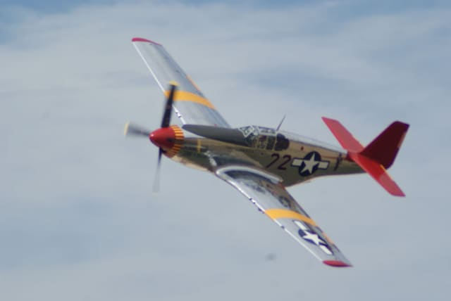  - Warbird