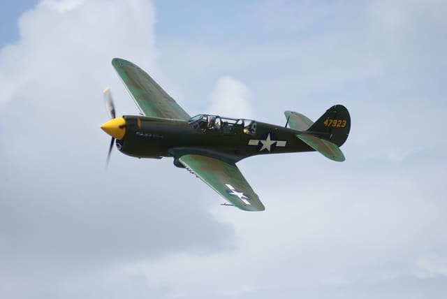  - Warbird