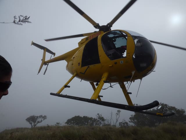 N811WA - Helicopter