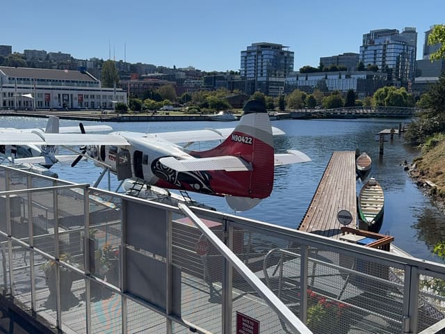 N32GW - Dehavilland BEAVER DHC-2 MK.3