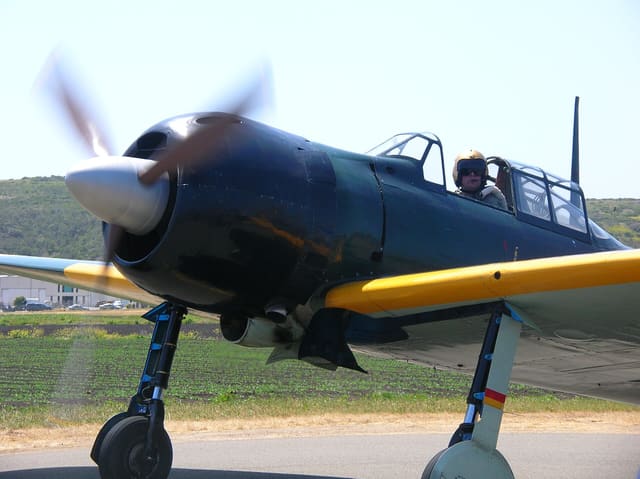  - Warbird