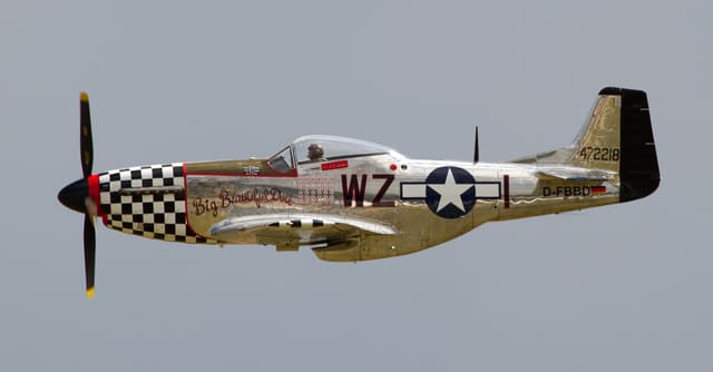  - Warbird