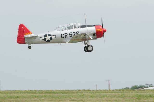 N85696 - Warbird