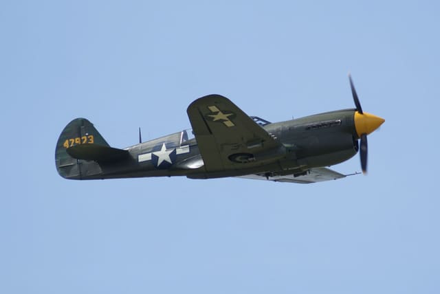  - Warbird