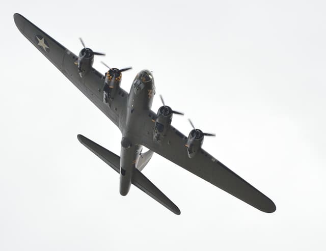  — Warbird