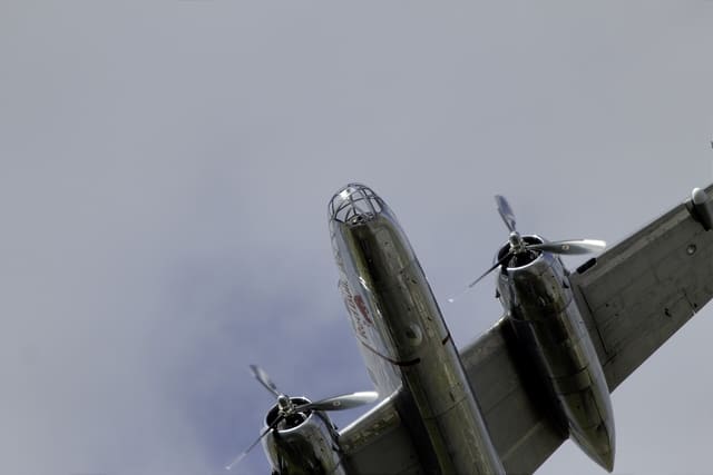  - Warbird