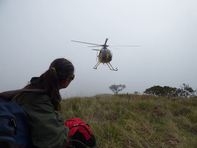 N811WA - Helicopter