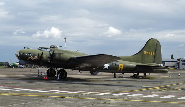  - Warbird