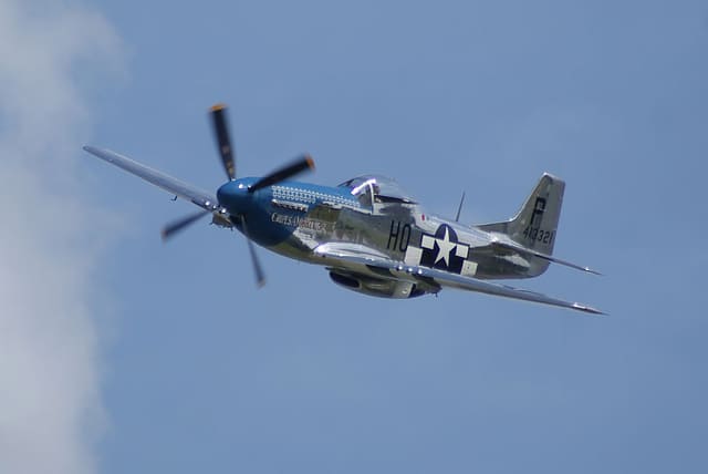  - Warbird