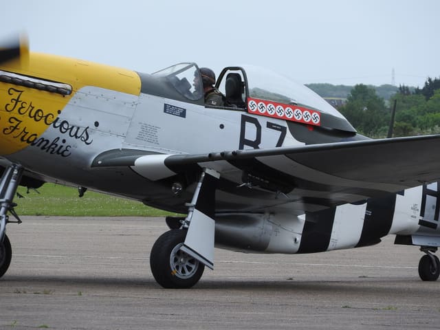  - Warbird