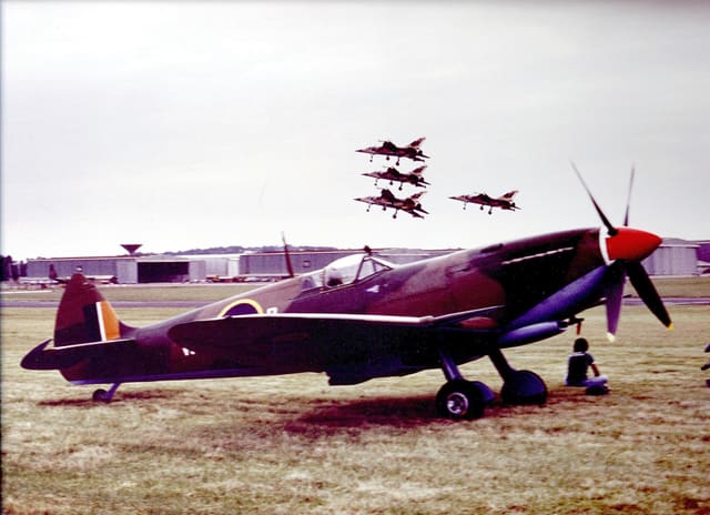  - Warbird