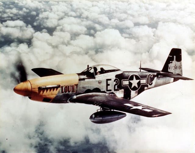  - Warbird