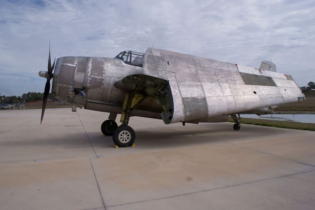  - Warbird