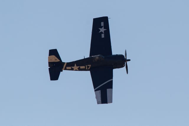  - Warbird