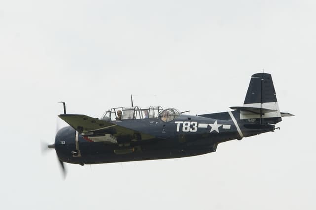 N81865 - Warbird