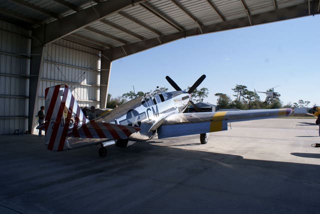 N251MX - Single-engine aircraft