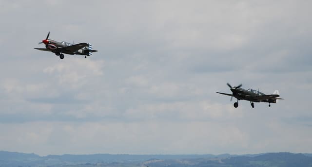  - Warbird