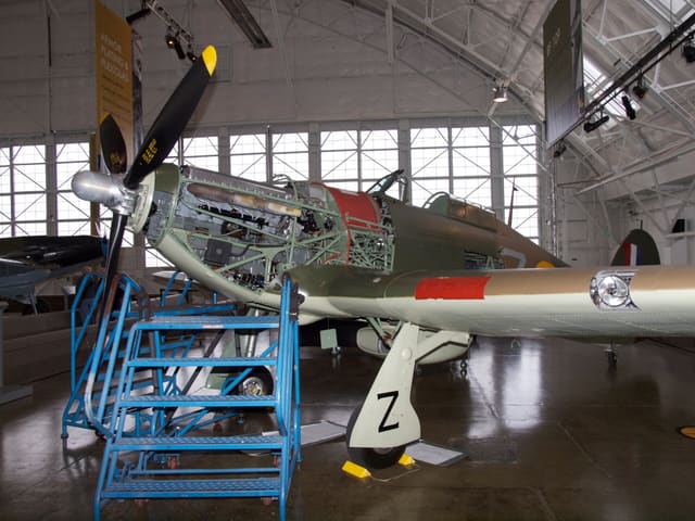  - Warbird