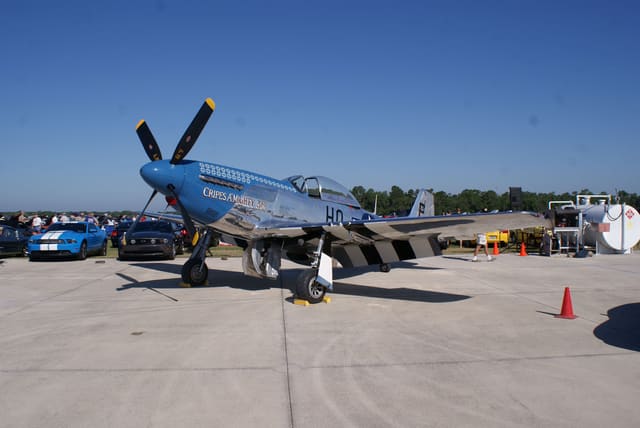  - Warbird