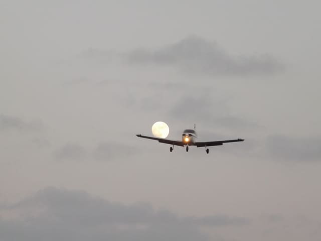 G-SCPL - Piper